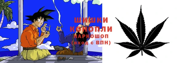 гидропоника Магас