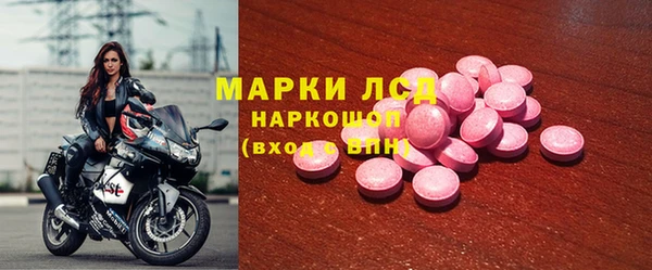 ГАЛЛЮЦИНОГЕННЫЕ ГРИБЫ Магадан