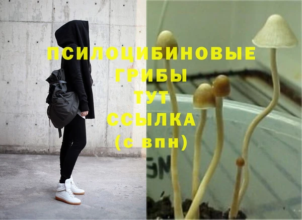ГАЛЛЮЦИНОГЕННЫЕ ГРИБЫ Магадан