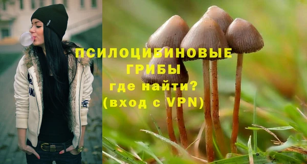 ГАЛЛЮЦИНОГЕННЫЕ ГРИБЫ Магадан