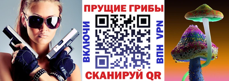 Галлюциногенные грибы Psilocybine cubensis  блэк спрут онион  Ухта 