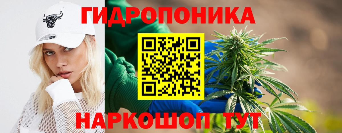 Шишки марихуана семена Ухта